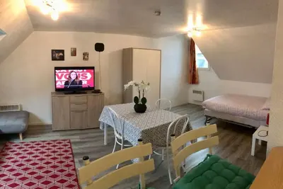 Télévision ou salle de divertissement dans l'établissement Appart T1 Préfecture et Centre