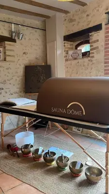 Télévision ou salle de divertissement dans l'établissement Sophie LE FEUVRE - Soins Energétiques