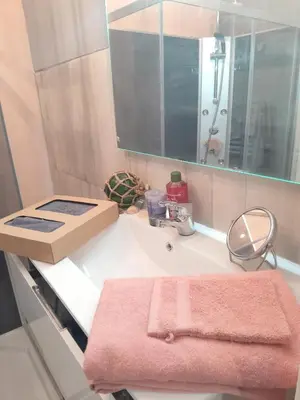 Salle de bains dans l'établissement Maison confortable à Loches + Jardin spacieux