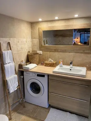 Salle de bains dans l'établissement Tiny housse la Poitevinière