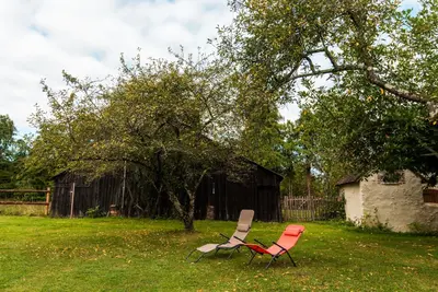 Jardin de l'établissement Le cèdre du Prieuré