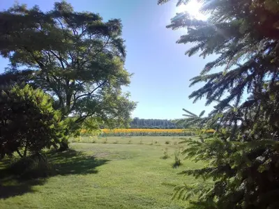 Paysage naturel près de la maison de vacances