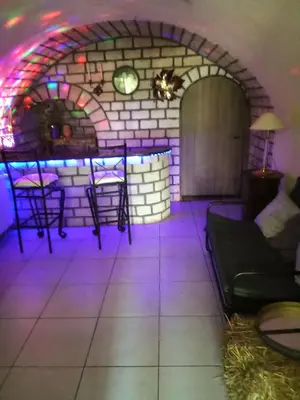 Coin salon dans l'établissement Le Nid - Amboise gîte semi troglodyte