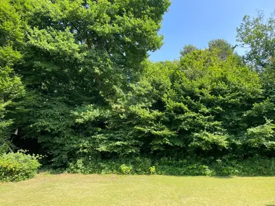Paysage naturel près de le séjour chez l'habitant
