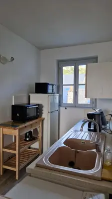 Cuisine ou kitchenette dans l'établissement Vaste appartement LE FAMILY avec vue sur la Vienne