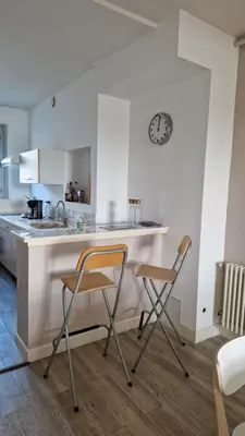 Cuisine ou kitchenette dans l'établissement Vaste appartement LE FAMILY avec vue sur la Vienne