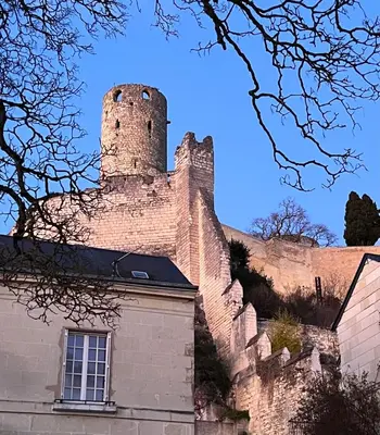 Plan de l'établissement Le Rabelais, superbe appartement en duplex, proche forteresse et monument historique