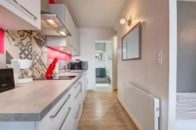 Cuisine ou kitchenette dans l'établissement Studio Grammont 4