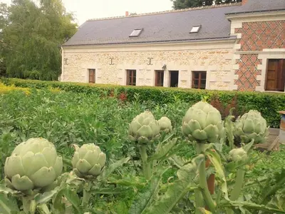 Jardin de l'établissement La Chauvellière, un écrin de verdure dans un cadre historique