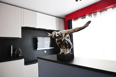 Cuisine ou kitchenette dans l'établissement Studio Moderne à Tours