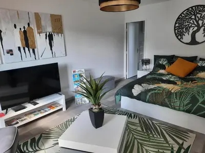 Télévision ou salle de divertissement dans l'établissement Gîte Le Petit Anzan en Indre et Loire