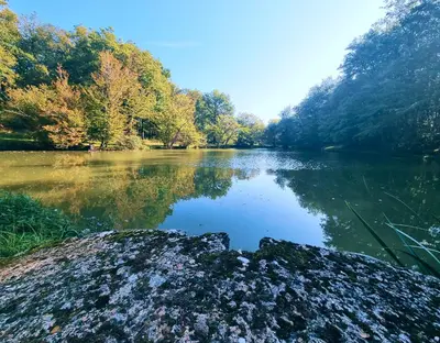 Paysage naturel près de le camping