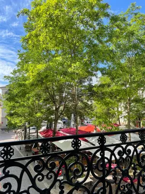 Plan de l'établissement Appartement Coeur de Ville