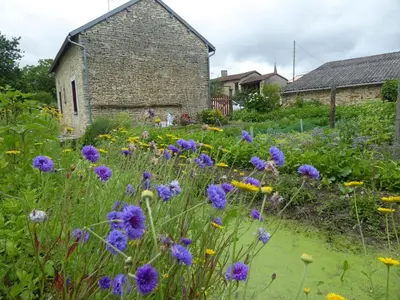 Jardin de l'établissement Gîte R-D-T