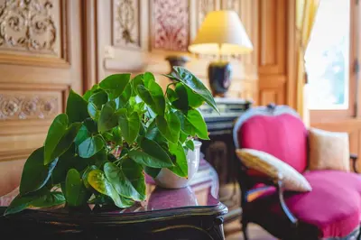 Coin salon dans l'établissement Château La Comtesse de Loire & Spa