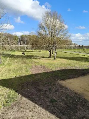 Paysage naturel près de la maison de vacances