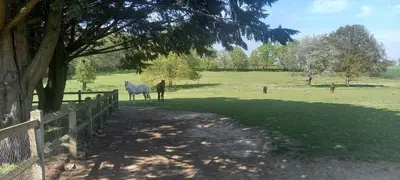 Jardin de l'établissement Les Grands Bois à BOUSSE