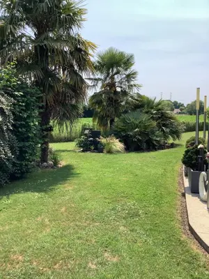 Jardin de l'établissement Maison à la campagne