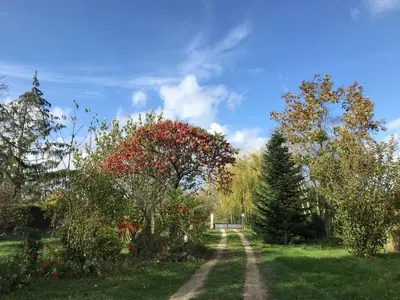 Jardin de l'établissement Jacuzzi et Vue sur Loire - Maison d'hôtes L'Odyssée