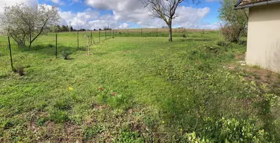 Jardin de l'établissement Le Petit Saule - Gîte entre Beauval et Chenonceau