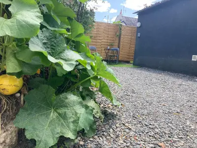Jardin de l'établissement Studio avec terrasse et parking au Mans