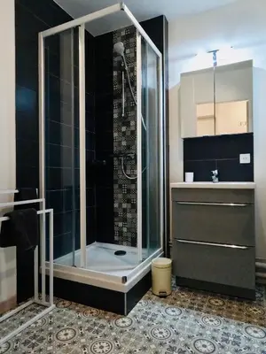 Salle de bains dans l'établissement Appartement Cosy Joué-Les-Tours