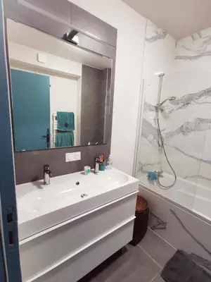 Salle de bains dans l'établissement Grand Appartement Familial, Tours Centre, Parking